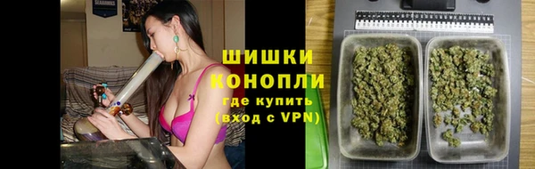 шишки Балабаново