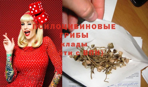 марки nbome Белокуриха